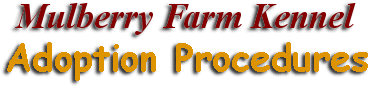 Mulberry Farm Kennel's
  Adoption Procedures