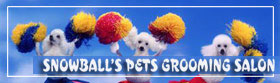          Snowball Salon(tm)
             Pet Grooming
Located in New York City, NY