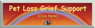  PetLoss.com Grief Support...
A Great Network for Comfort and Strength
    Following the Loss of a Pet