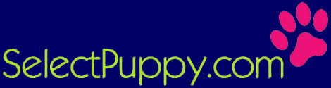      zCheck out the
   U.S. Nation-Wide
Dog Breeder Directory-Website
   of  SelectPuppy.com
