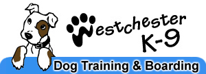   CLICK HERE to Visit
Westchester K-9 Dog Training,
Boarding and Much, Much More!