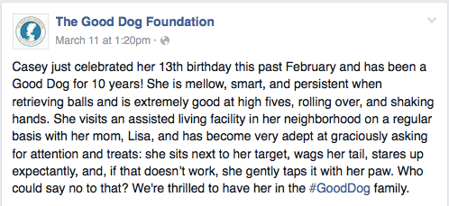 Facebook Post-Letter from
The Good Dog Foundation