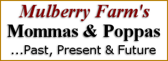   Mulberry Farm’s
Mommas & Poppas